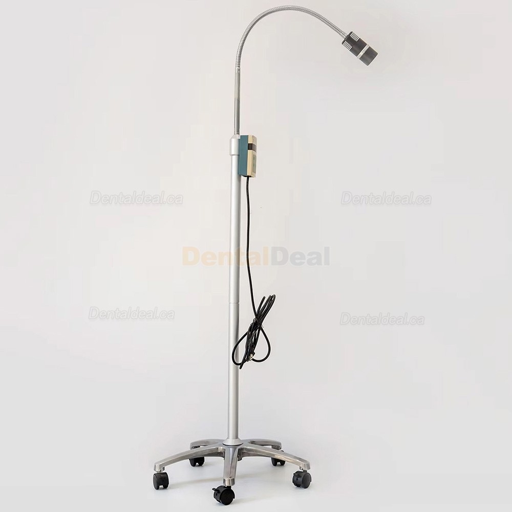 Micare JD1200L 12W Mobile Type Dental Examination Lamp Shadowless Oral Light Floor Standing